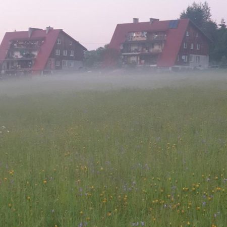 Apartament Wrzos Bieszczady Comuna de Czarna Exterior foto