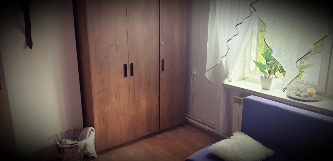 Apartament Wrzos Bieszczady Comuna de Czarna Exterior foto
