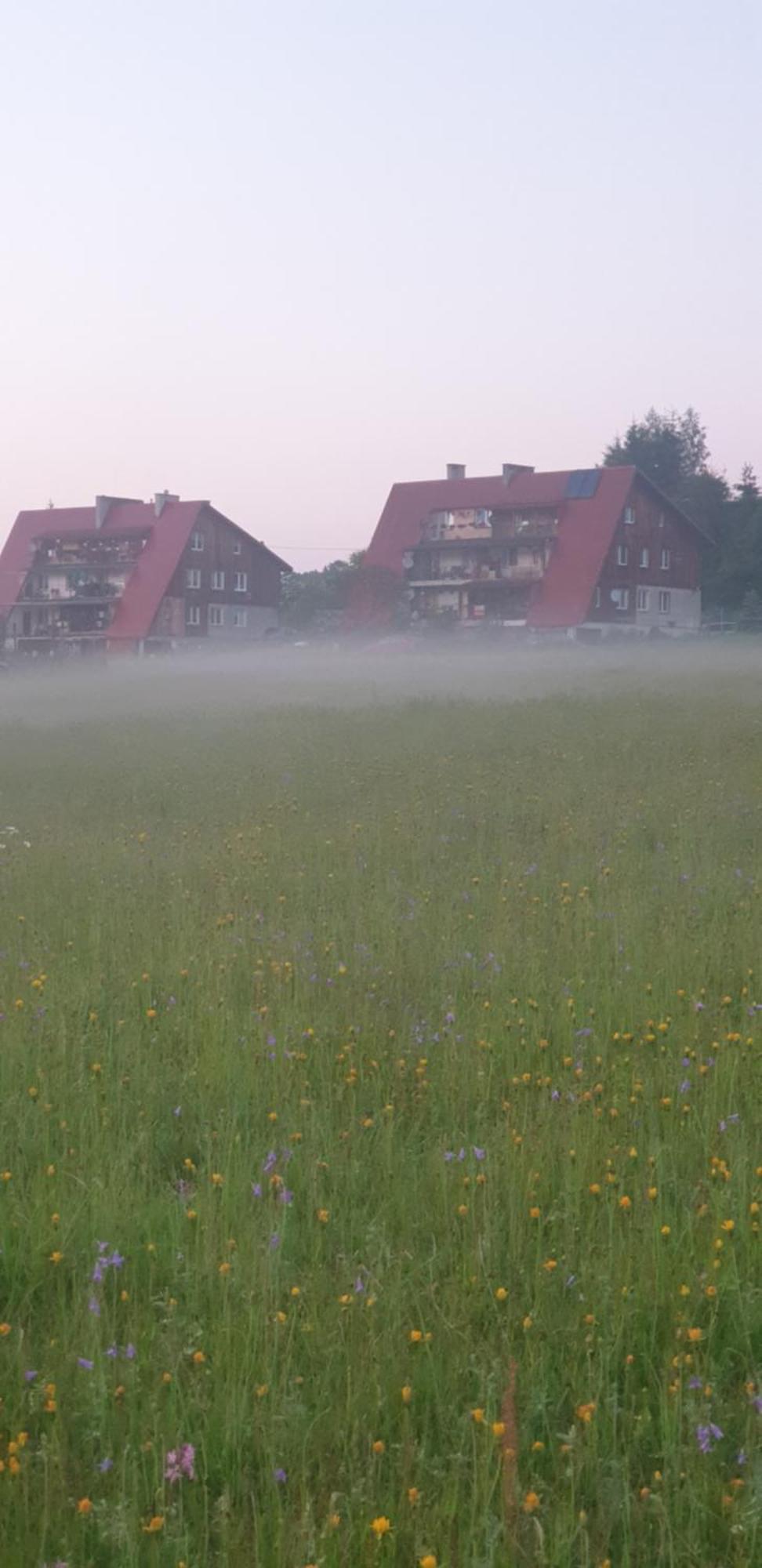 Apartament Wrzos Bieszczady Comuna de Czarna Exterior foto